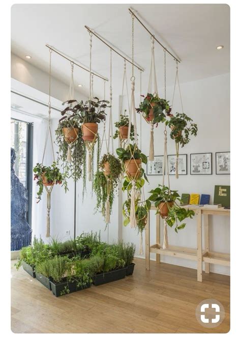 pin  ingrid black   decoration hanging planters indoor hanging plants plant decor indoor