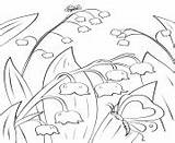 Valley Coloring Lily Printable Pages sketch template