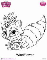 Windflower Whisker Mascotas Colorear Skgaleana Galery Dibujalandia Colouring Mascota sketch template