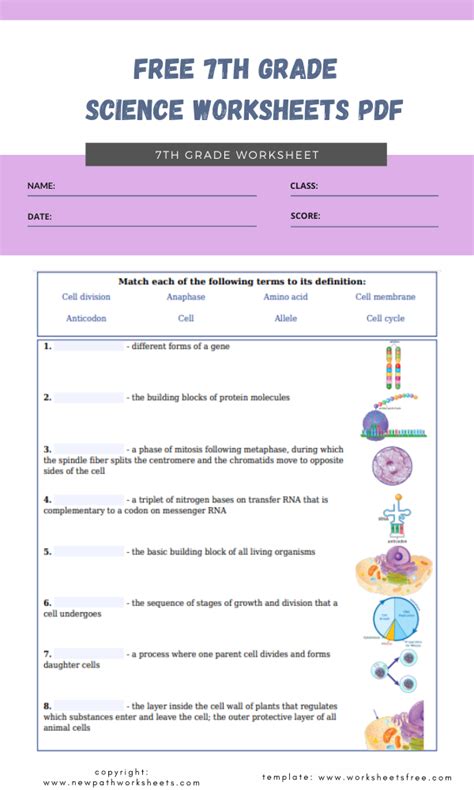grade  science worksheets  worksheet resume examples gambaran