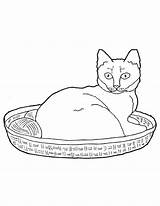 Coloring Basket Yarn Cat Kitty Lazy Its sketch template