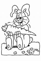Coloring Bunny Carrot Pages Color Getdrawings Printable Getcolorings Popular sketch template