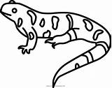 Salamander Ausmalbilder Salamandra Ultracoloringpages sketch template