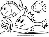 Para Coloring Desenhos Animais Simples Imagem Animal Pages Choose Board sketch template