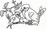 Robin Coloring Pages Baby sketch template