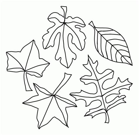 fall leaf coloring pages coloring home