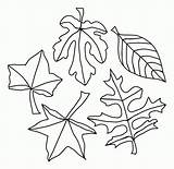 Leaf Printable Stencil Coloring Oak Leaves Popular sketch template