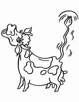 Cow Moo Mooing Mucche Divertenti Codes Insertion Mucca sketch template