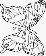 Da Colorare Farfalle Ritagliare sketch template