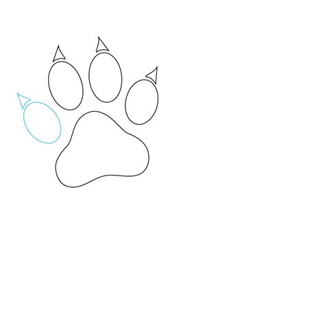 draw  cat paw print step  step