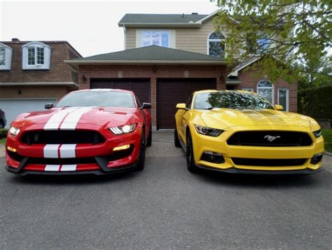 ford mustang gt  ford shelby gt essais routiers actualites