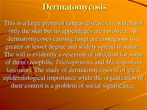 Dermatomycosis Pathogenesis презентация онлайн