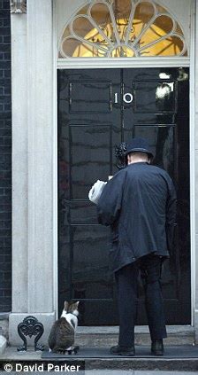 larry  downing street cat sacked  number  chief mouse catcher  chillaxing