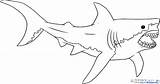 Shark Coloring Megalodon Great Pages Drawing Outline Bull Realistic Print Color Line Printable Sharks Clipart Kids Paintingvalley Drawings Getcolorings Getdrawings sketch template
