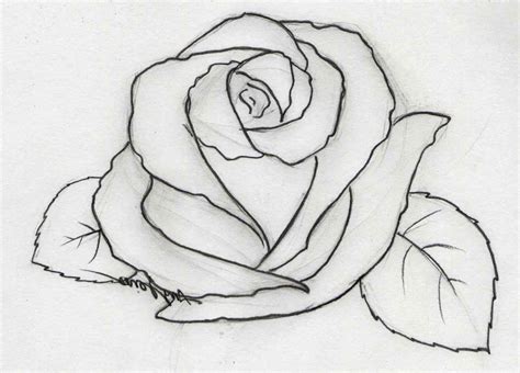 pencil drawing rose flowers easy flower drawings  jpg clipartingcom