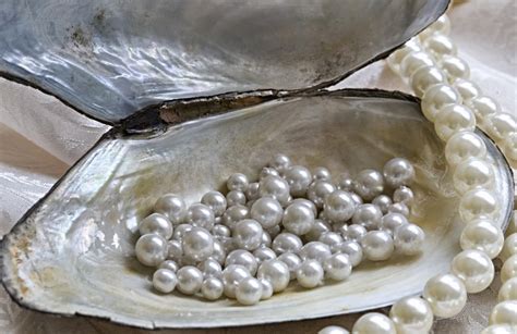 biodiversity science dna fingerprinting  pearls
