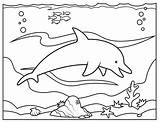 Dolphin Colorir Outline Clipart sketch template
