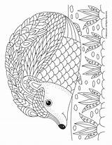 Hedgehog Coloring Adult Pages Animal Mandala Printable Dyr Kids Kopitegninger Fall Woojr Activities Template Sheets Flower Visit Choose Board sketch template