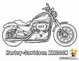 Coloring Pages Harley Davidson Motorcycle Motorcycles Logo Clipart Sheets Colouring Color Drawing Print Adult Motor Tattoo Cool Ktm Kleuren Bladzijden sketch template