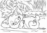 Coloring Moana Pua Pig Pages Color Pet Kids Printable Print Incredible Playing Little Colorings Popular sketch template