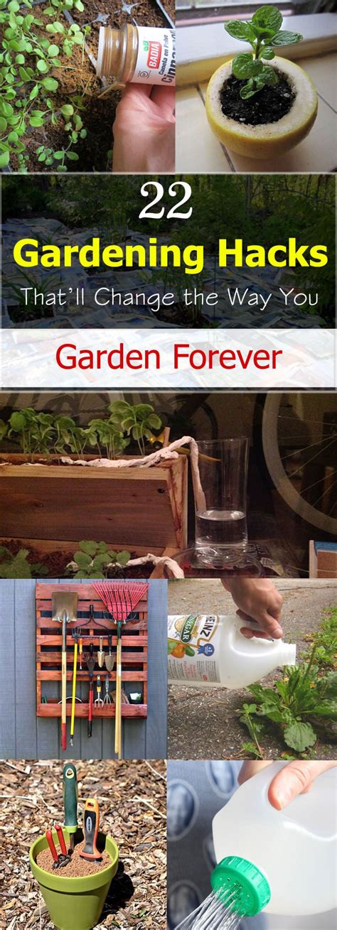 gardening these 22 clever and easy gardening hacks are so useful that