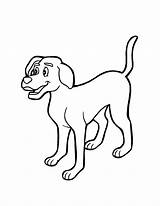 Cachorro Cachorros Colorear Desenho Cachorrinho Dog2 Pinscher Activity Cadela Dublado Qdb Tímido sketch template
