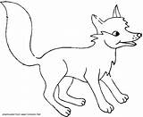Fox Cub Animals Coloring sketch template