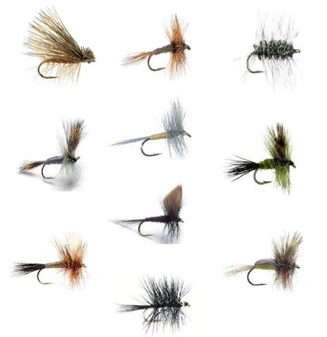 fly fishing flies  dry fly assortment fishing gear sale