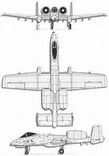 Thunderbolt Fairchild Vues Republic Avion Avionslegendaires sketch template