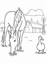 Horse Coloring Pages Only sketch template