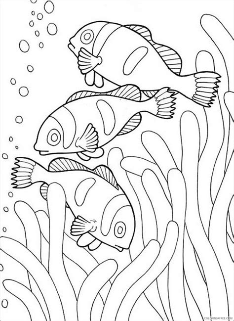 clownfish coloring pages animal printable sheets clown fish