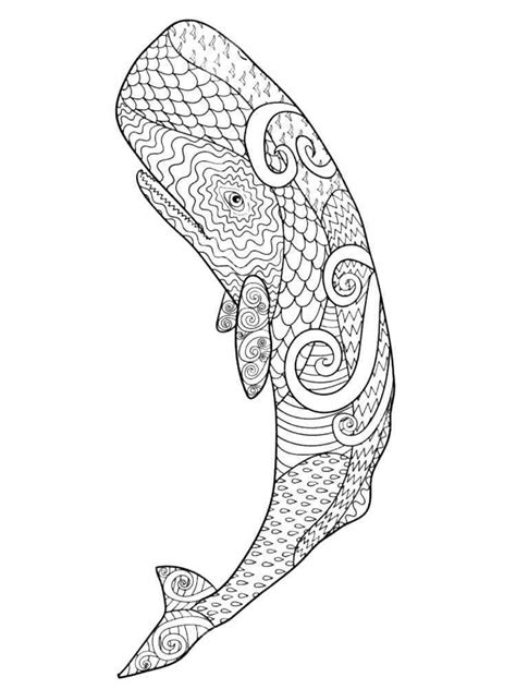 whale coloring pages  adults