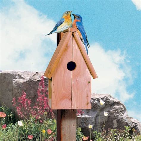 blue bird house