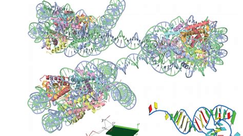 nucleic acids research oxford academic