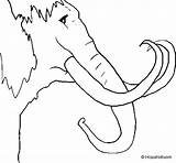 Mammoth Coloring Coloringcrew sketch template