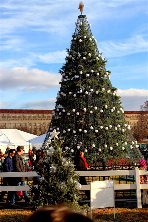 national christmas tree