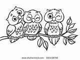 Owls Sitting Outlined sketch template