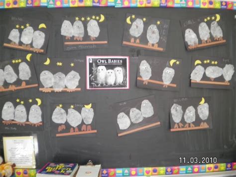 owl babies baby owls owl babies book owl theme classroom