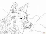 Coyote Howling Coyotes Wildlife Supercoloring Getdrawings sketch template