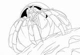 Crab Hermit Coloring Pages Printable Coconut Kids Template Cartoon Sketch Designlooter 91kb 1200 sketch template