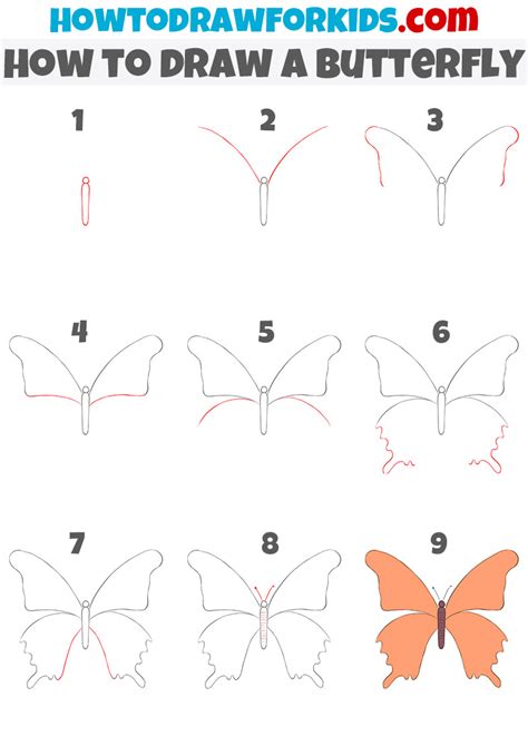 draw  butterfly  easy
