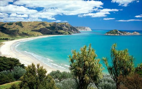 zealand ocean voyages experts  worldwide yacht charters