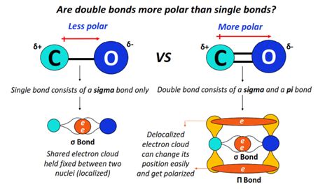 double bonds  polar  single bonds chemistry qna