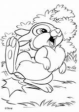 Thumper Coloring Pages Bambi Hellokids Drawing Disney Color Print sketch template