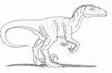 Raptor Velociraptor Getdrawings Svg Cricut sketch template