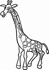 Giraffe Coloring Happy Zoo Wecoloringpage sketch template