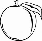 Aprikose Peach Benutzen Ordnung Genügt Webbrowser Sein sketch template