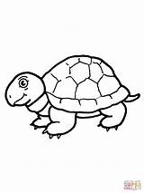 Coloring Tortoise Pages Cute Color Printable Drawing Print sketch template
