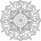 Coloring Nature Pages Mandalas Mandala Print Adults Printable Book Color Adult Colouring Painting Kids Voor Volwassenen sketch template