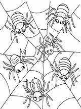 Coloring Spider Halloween Pages Getcolorings Spiders Animal Color sketch template